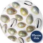 Cowrie - Ring Top - Project Pack